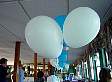 dsc03236.jpg