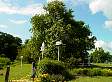 dsc03202.jpg
