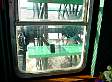 dsc03231.jpg