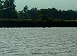 dsc03258.jpg