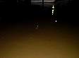 dsc03401.jpg