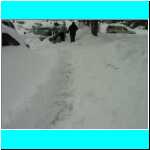DSC01680.jpg