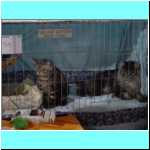 DSC06628.JPG