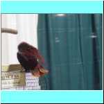 DSC06637.JPG