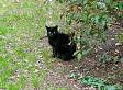 DSC02426.JPG