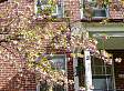DSC02474.JPG